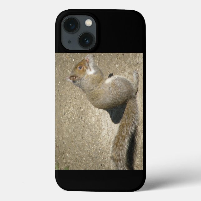 Eichhörnchen Hungry Horatio Case-Mate iPhone Hülle (Rückseite)