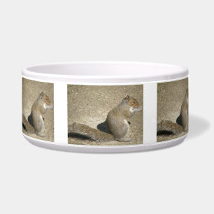 Eichhörnchen Hungry Horatio Dog Bowl Napf