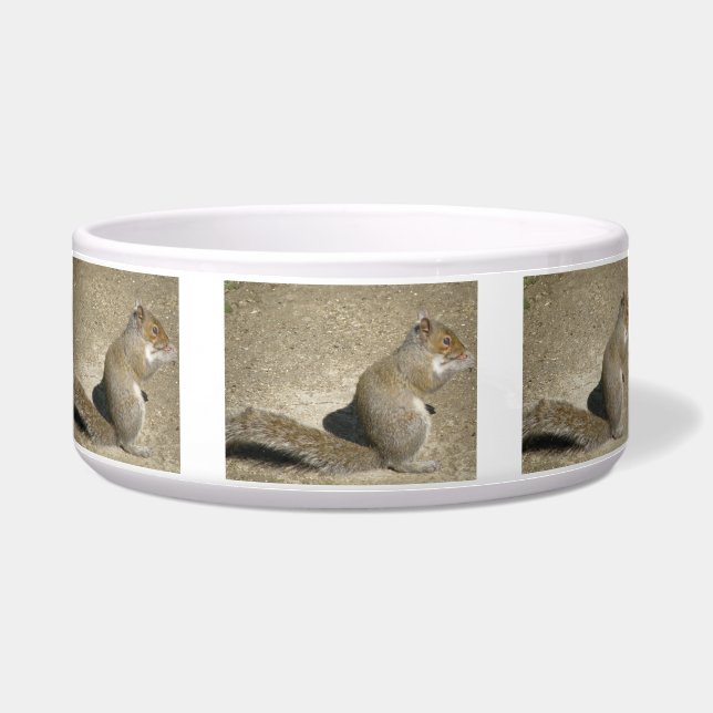 Eichhörnchen Hungry Horatio Dog Bowl Napf (Vorderseite)