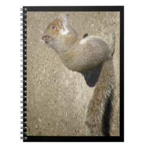 Eichhörnchen Hungry Horatio Notebook Notizblock