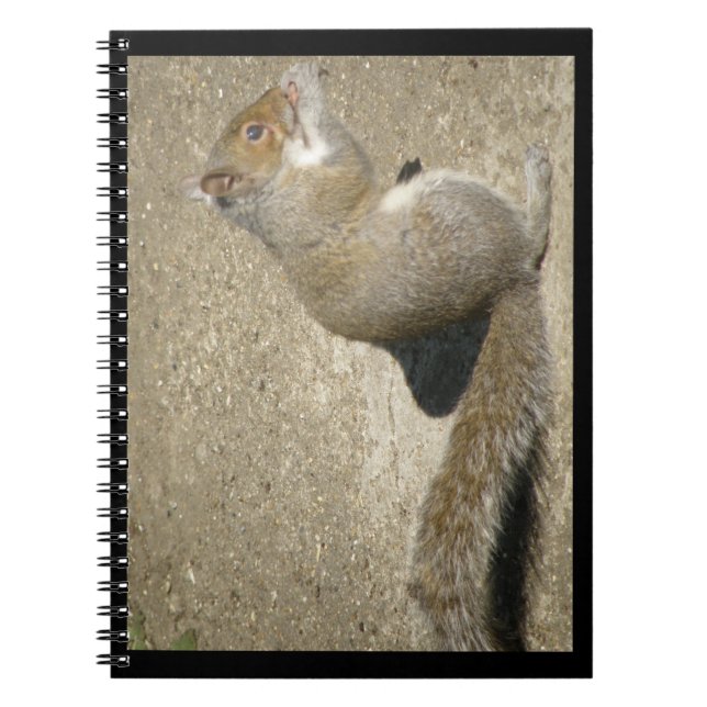 Eichhörnchen Hungry Horatio Notebook Notizblock (Vorderseite)