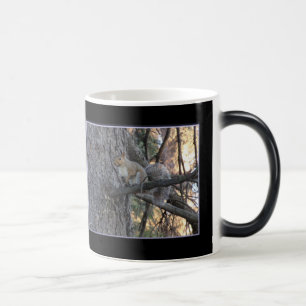 Eichhörnchen im Baum Magic Morphing Becher Verwandlungstasse