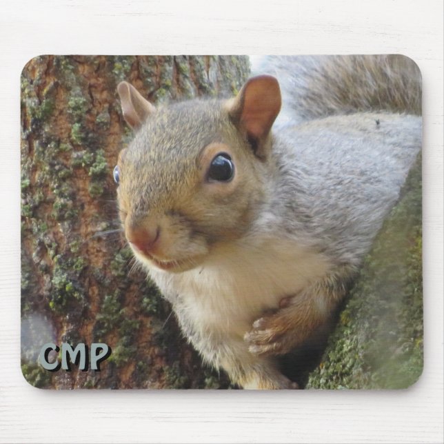 Eichhörnchen im Baum Mousepad (Vorne)
