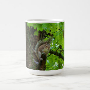 Eichhörnchen im Eichenbaum Naturbecher Tasse