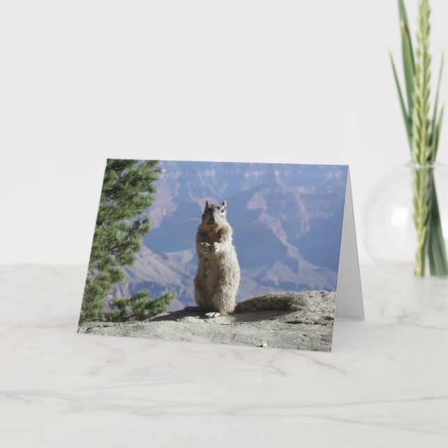 Eichhörnchen im Grand Canyon Karte (Vorderseite)