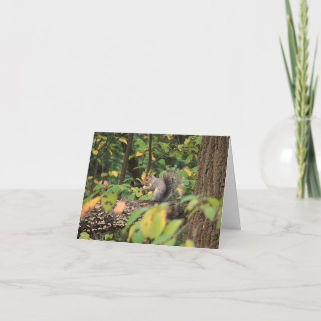 Eichhörnchen im Herbst Notecard Karte (Vorderseite)
