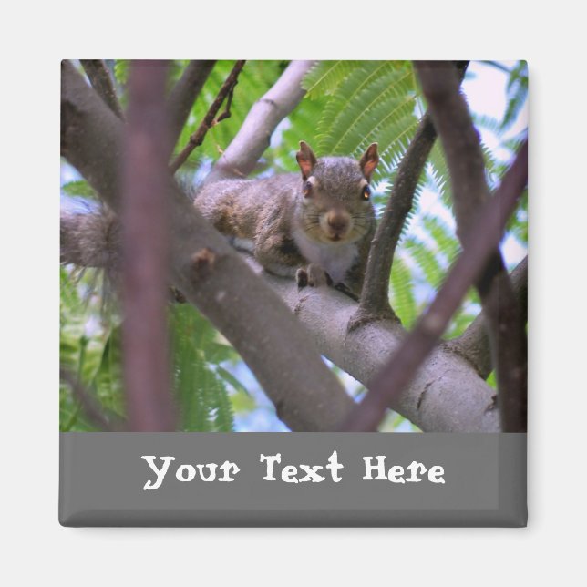 Eichhörnchen im Kühlschrankmagnet Tree Magnet (Vorne)