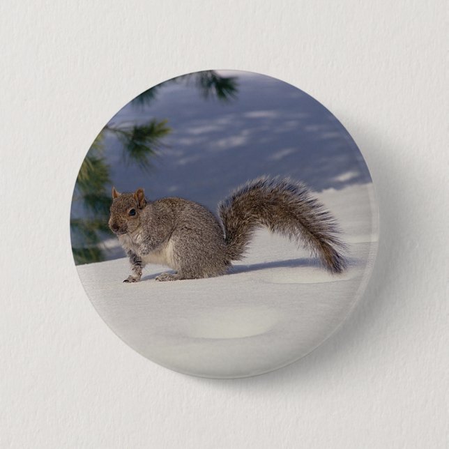 Eichhörnchen im Schnee Button (Vorderseite)