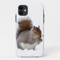 Eichhörnchen im Schnee