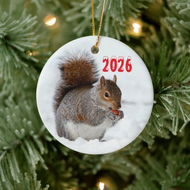 Eichhörnchen im Schnee mit Berry Ornament (Baum)
