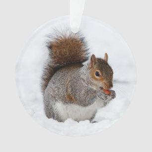 Eichhörnchen im Schnee Ornament