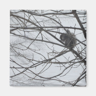 Eichhörnchen im Schneemagnet Magnet