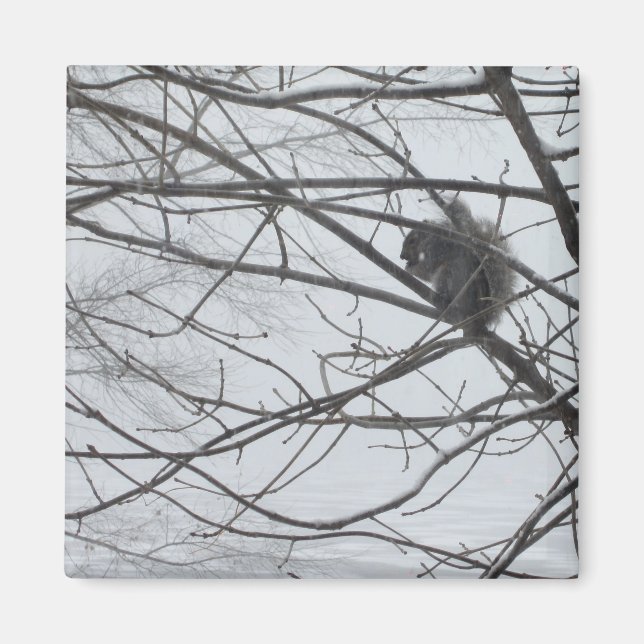 Eichhörnchen im Schneemagnet Magnet (Vorne)