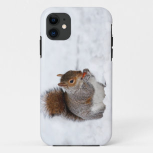Eichhörnchen im Winter iPhone 5 Fall Case-Mate iPhone Hülle