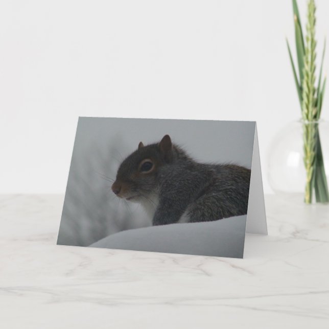 Eichhörnchen im Winter Karte (Vorderseite)