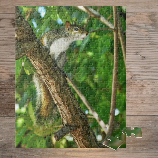 Eichhörnchen in Baum Wildlife-Fotografie  Puzzle (Von Creator hochgeladen)