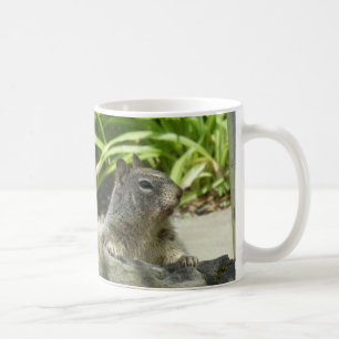 Eichhörnchen in der Shade-Tasse Kaffeetasse