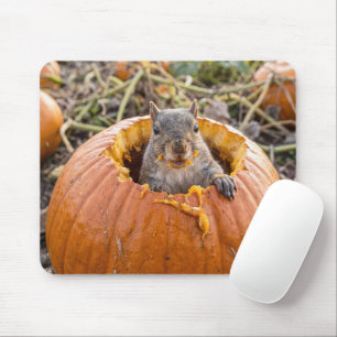 Eichhörnchen in einem Herbstkürbis Mousepad