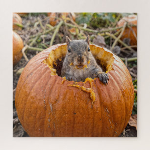 Eichhörnchen in einem Herbstkürbis Puzzle