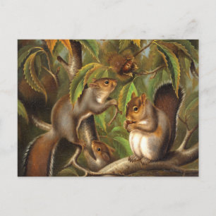 Eichhörnchen in einem Kastanienbaum Gemälde Postkarte