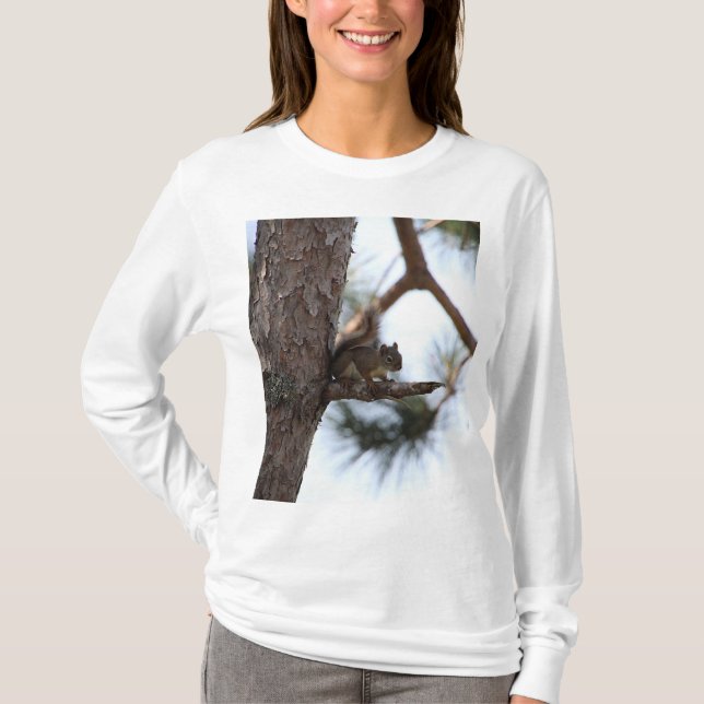 Eichhörnchen in einem Kiefernbaum T-Shirt (Vorderseite)