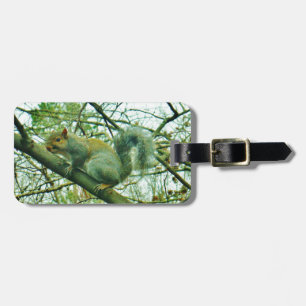 Eichhörnchen in einem leichten blauen Nebel Gepäckanhänger