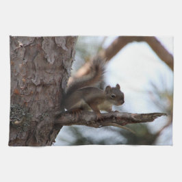 Eichhörnchen in einer Kiefer Frottiertuch Geschirrtuch