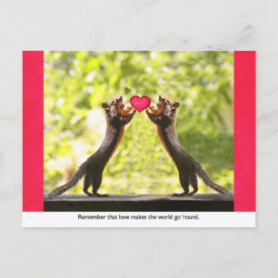 Eichhörnchen in Liebe Postkarte