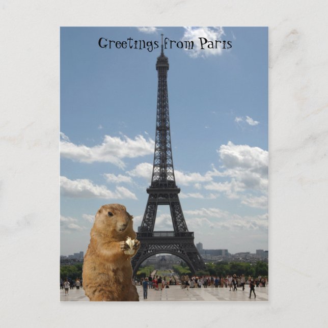 Eichhörnchen in Paris Postcard Postkarte (Vorderseite)