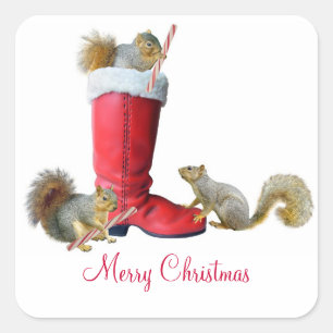 Eichhörnchen in Santas Stiefel Aufkleber