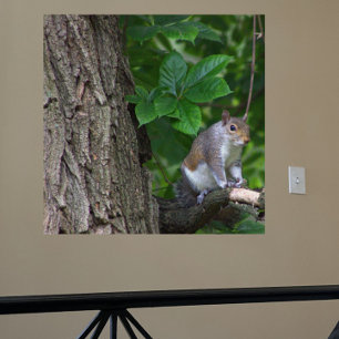 Eichhörnchen in Tree Foto Poster