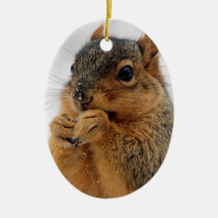 Eichhörnchen in Wonder Keramik Ornament
