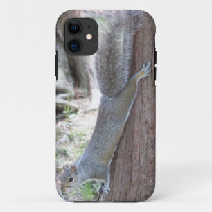Eichhörnchen iPhone 5 Hülle