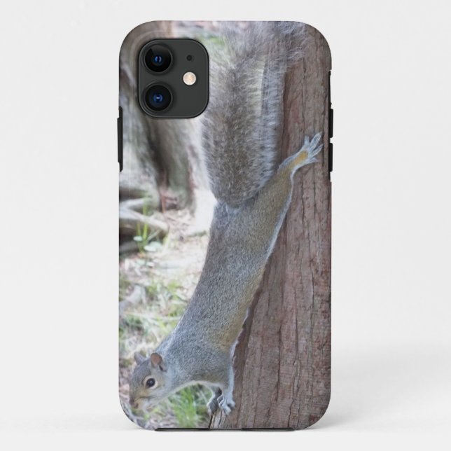 Eichhörnchen iPhone 5 Hülle (Rückseite)