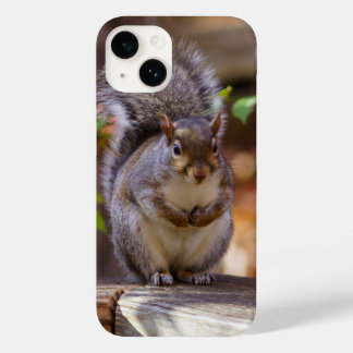Eichhörnchen iPhone Case