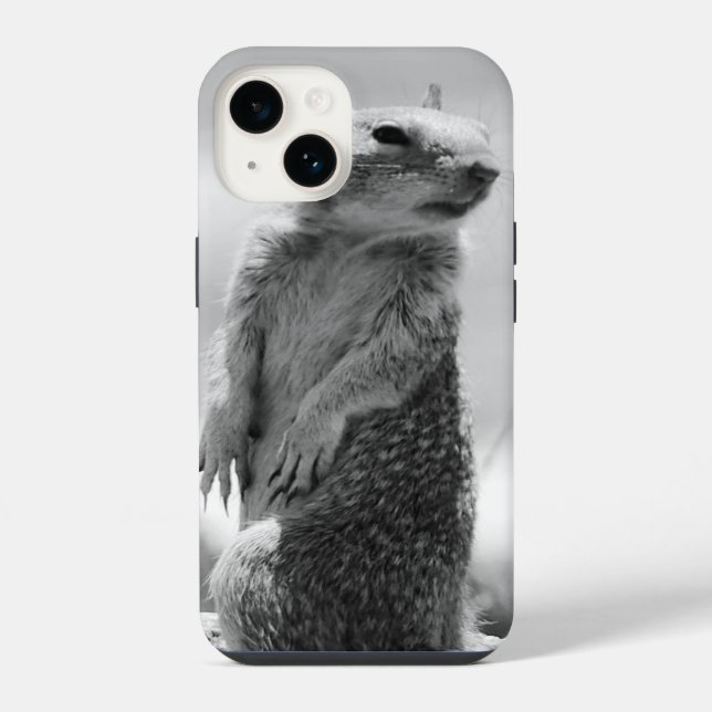 Eichhörnchen iPhone Hülle (Rückseite)