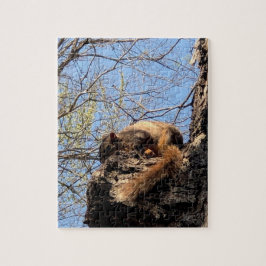 Eichhörnchen Jigsaw Puzzle