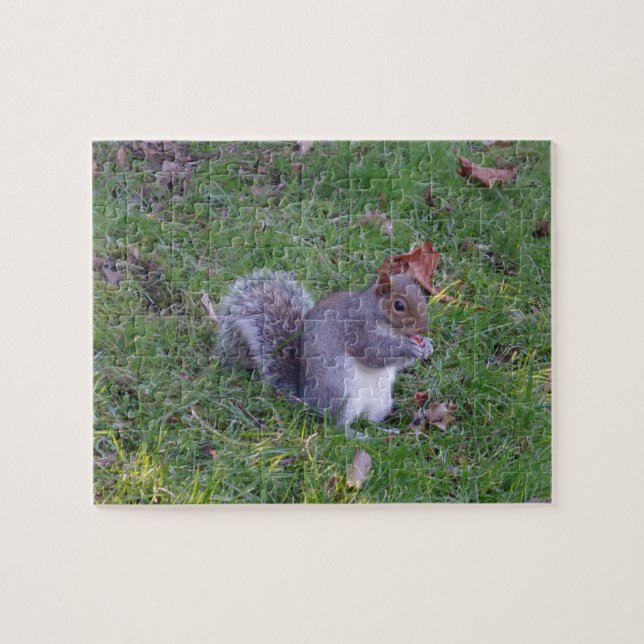 Eichhörnchen Jigsaw Puzzle (Horizontal)