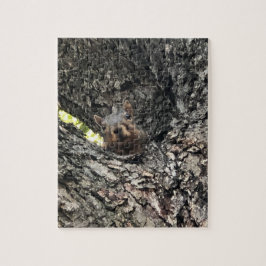 Eichhörnchen Jigsaw Puzzle