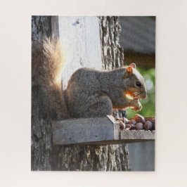 Eichhörnchen Jigsaw Puzzle