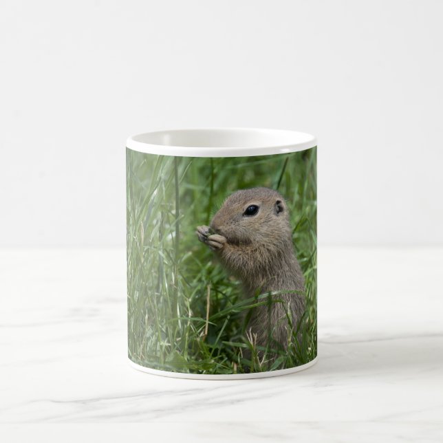 Eichhörnchen Kaffeetasse (Mittel)