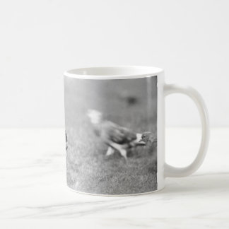 Eichhörnchen Kaffeetasse