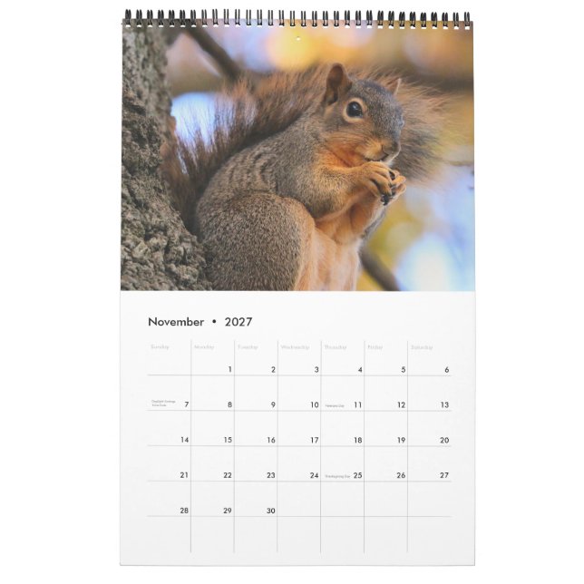 Eichhörnchen Kalender (Nov 2027)