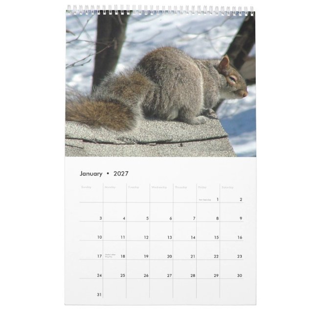Eichhörnchen-Kalender 2011 Kalender (Jan 2027)