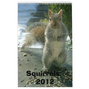 Eichhörnchen-Kalender 2012 Kalender