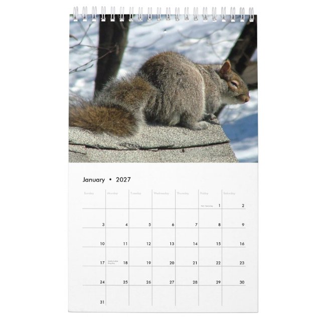 Eichhörnchen-Kalender 2013 Kalender (Jan 2027)