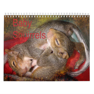 Eichhörnchen-Kalender Kalender