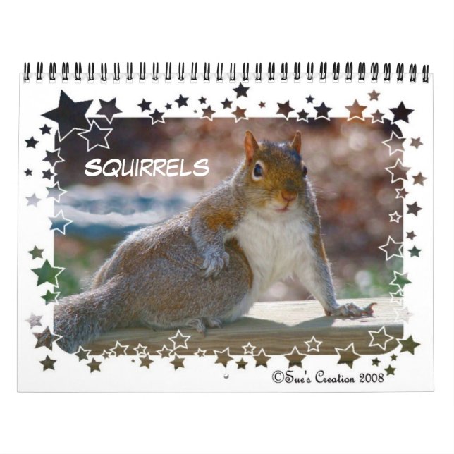 Eichhörnchen-Kalender Kalender (Titelbild)