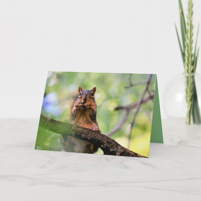 Eichhörnchen Karte (Vorderseite)