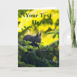 Eichhörnchen Karte